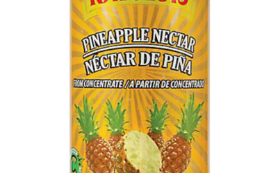 Nectar de Pina NATURAS 24/355ml